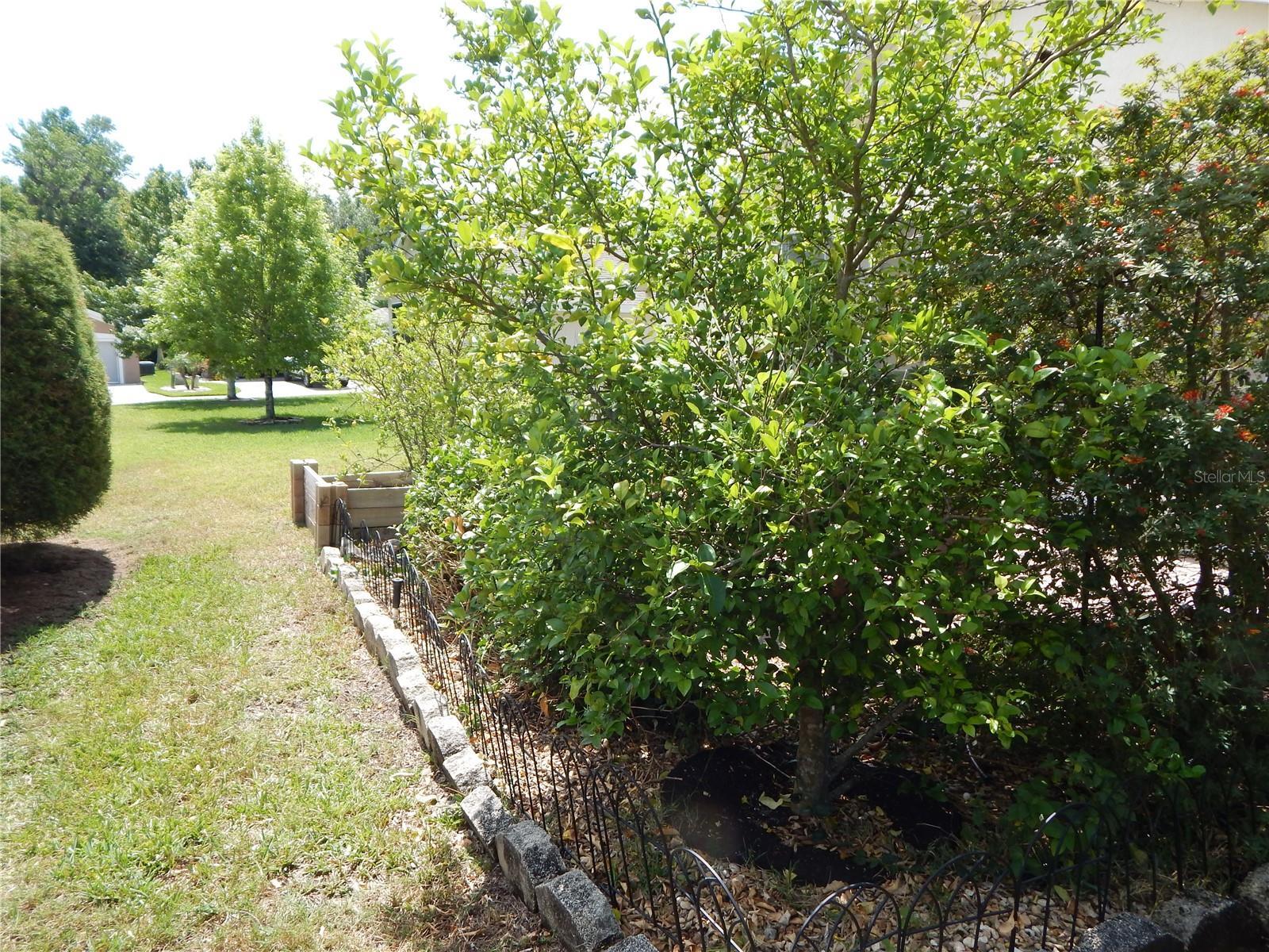 Photo #36