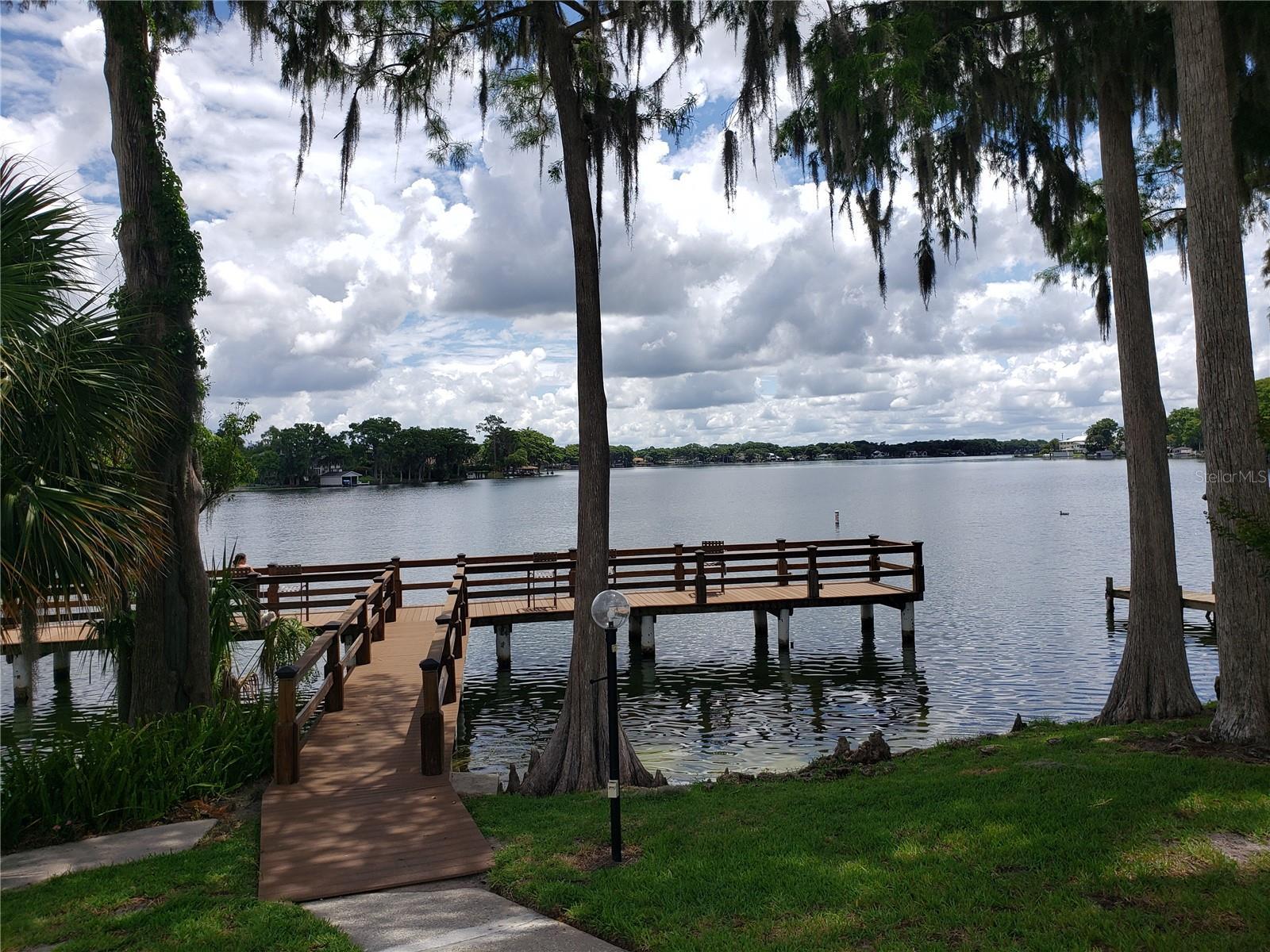 Photo #49