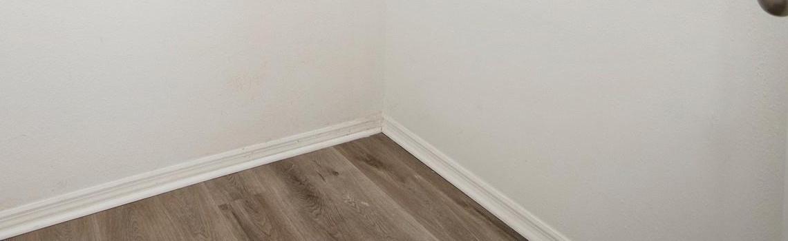 Photo #16