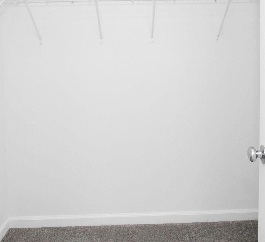 Photo #31