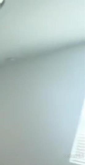 Photo #11
