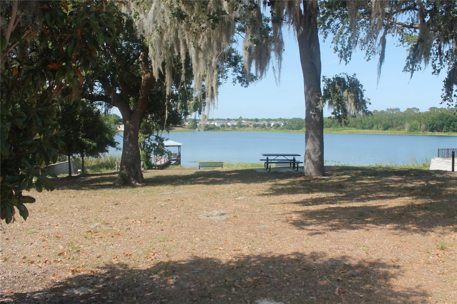 Photo #56
