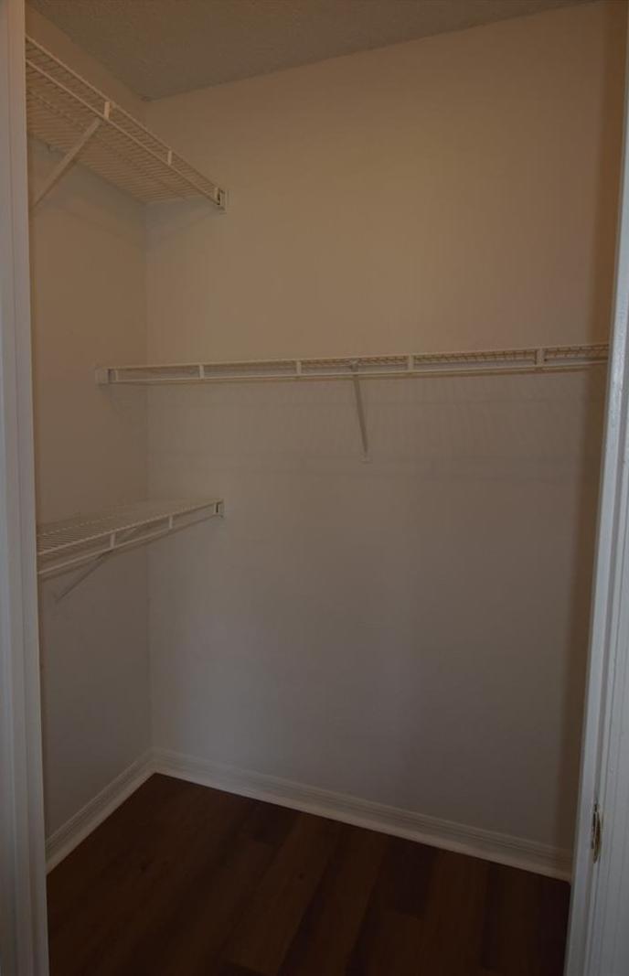 Photo #5