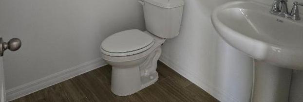 Photo #11