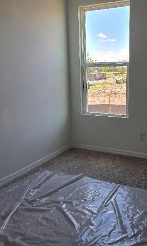 Photo #14