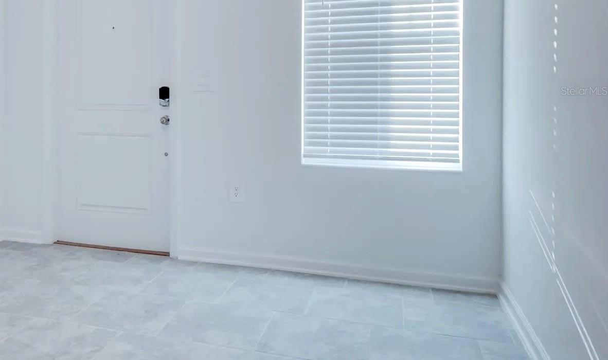Photo #11
