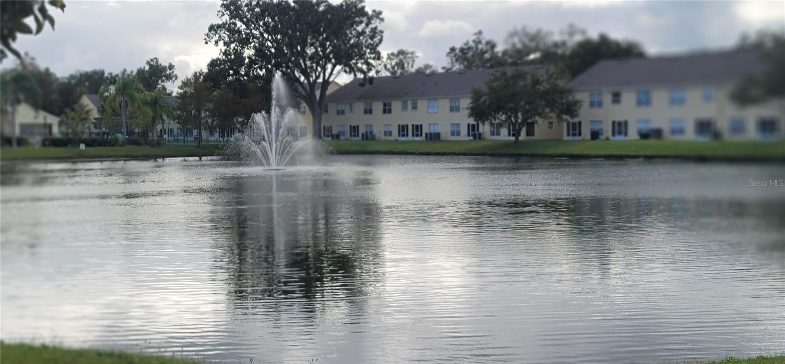 Photo #17