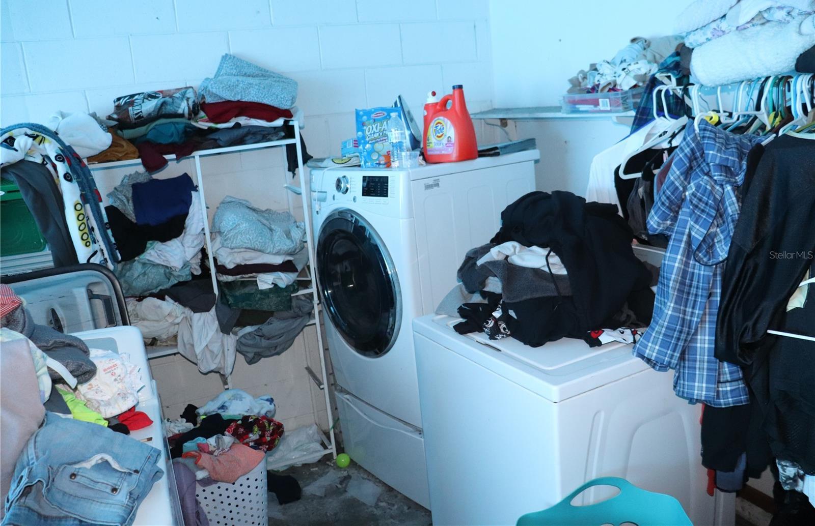 Photo #19