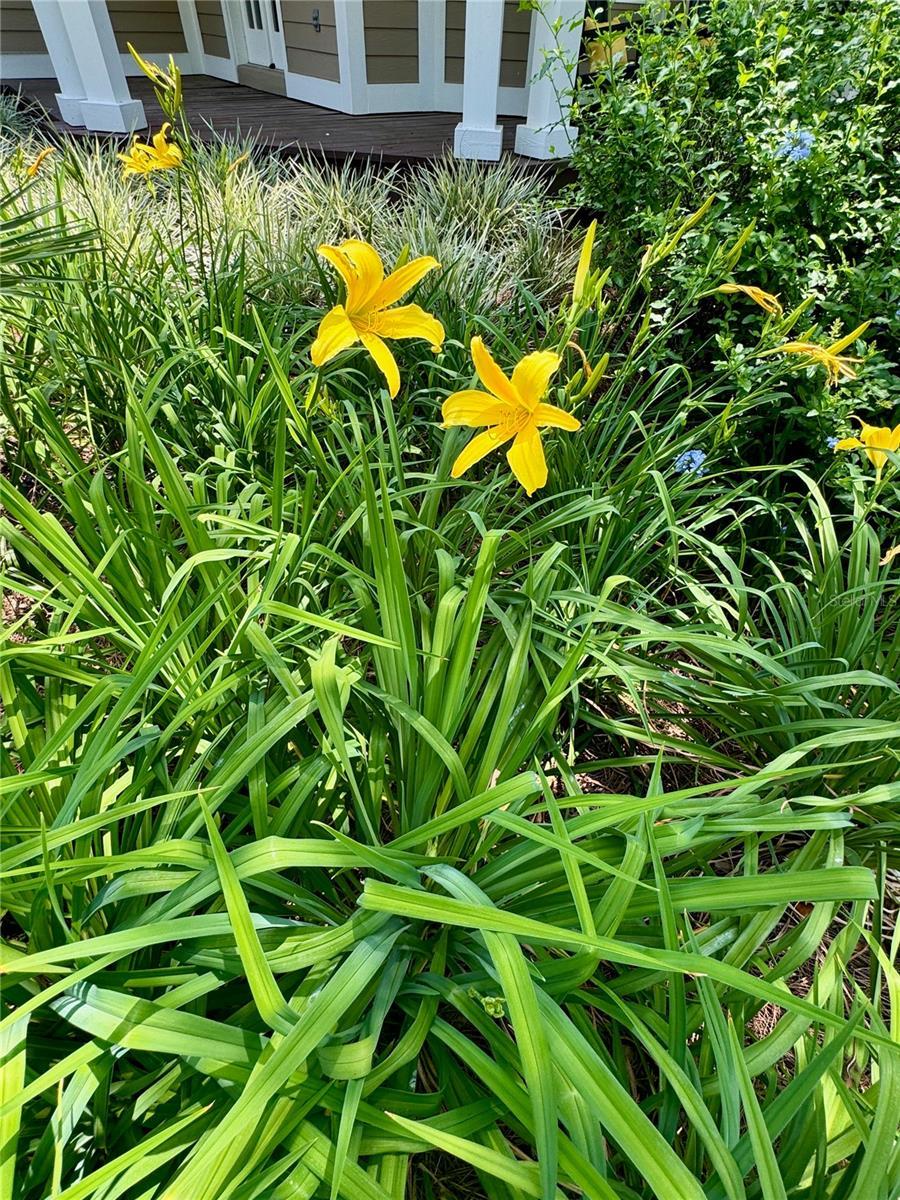 Photo #6