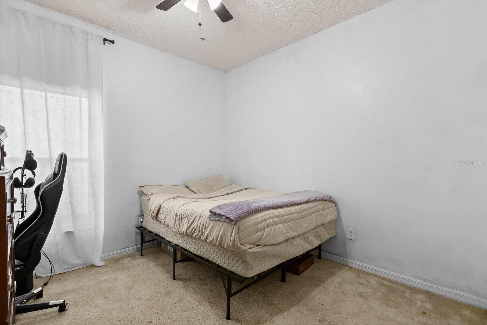 Photo #13