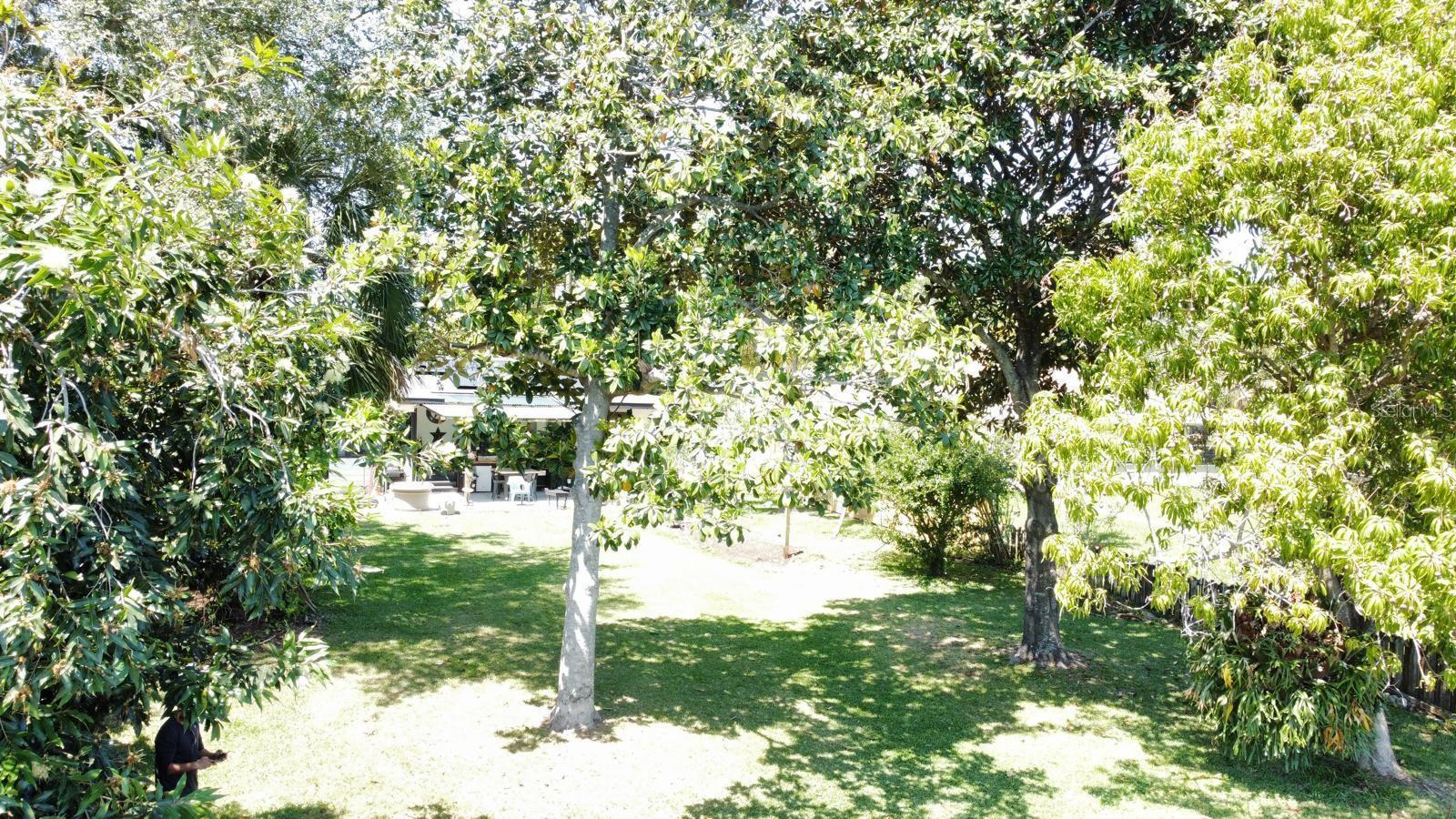 Photo #5