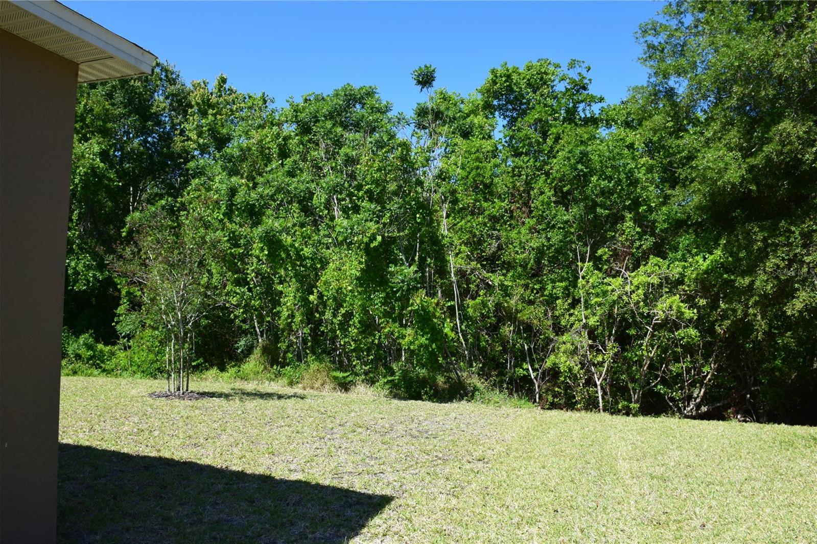 Photo #6