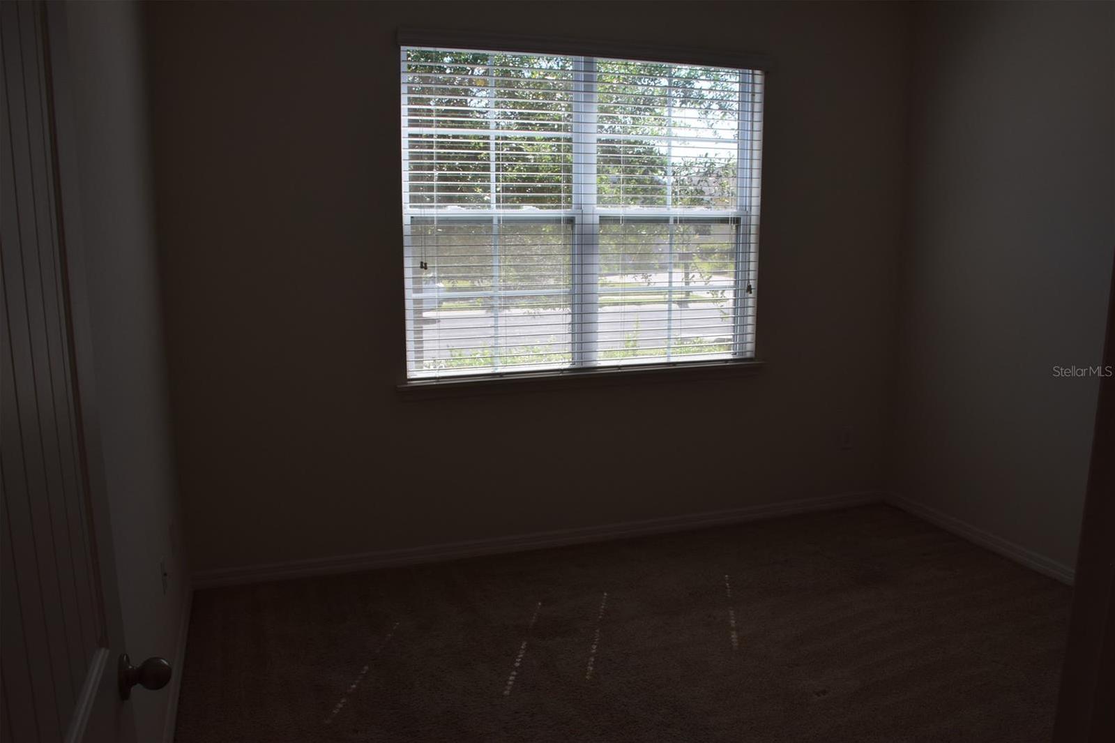 Photo #16