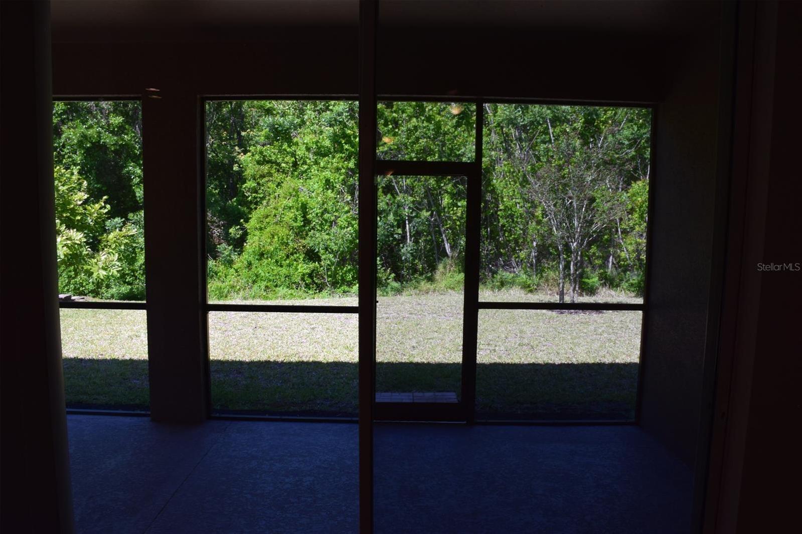 Photo #52