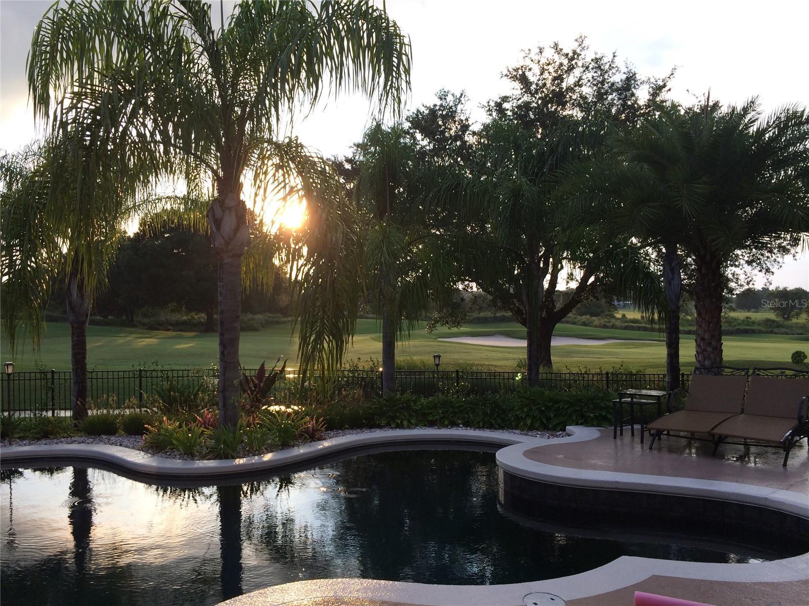 Photo #63