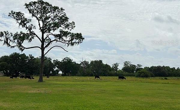 Photo #52