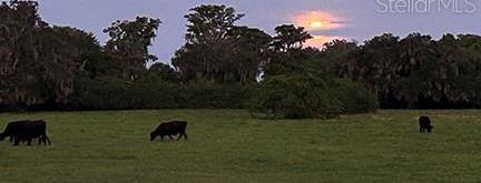 Photo #62