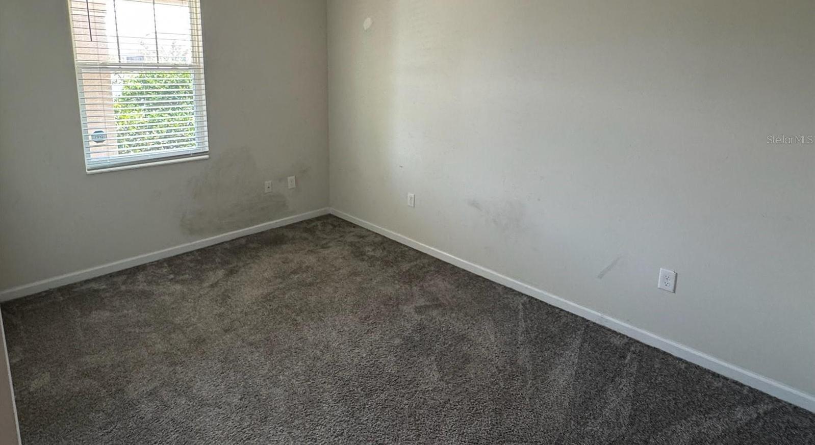 Photo #23