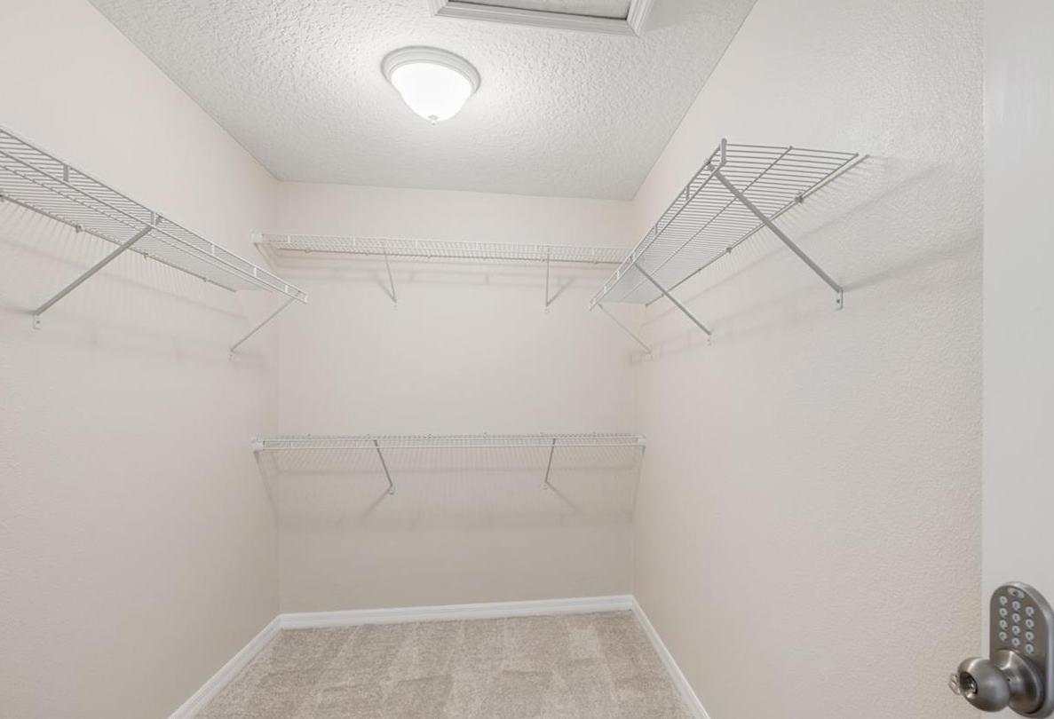 Photo #23