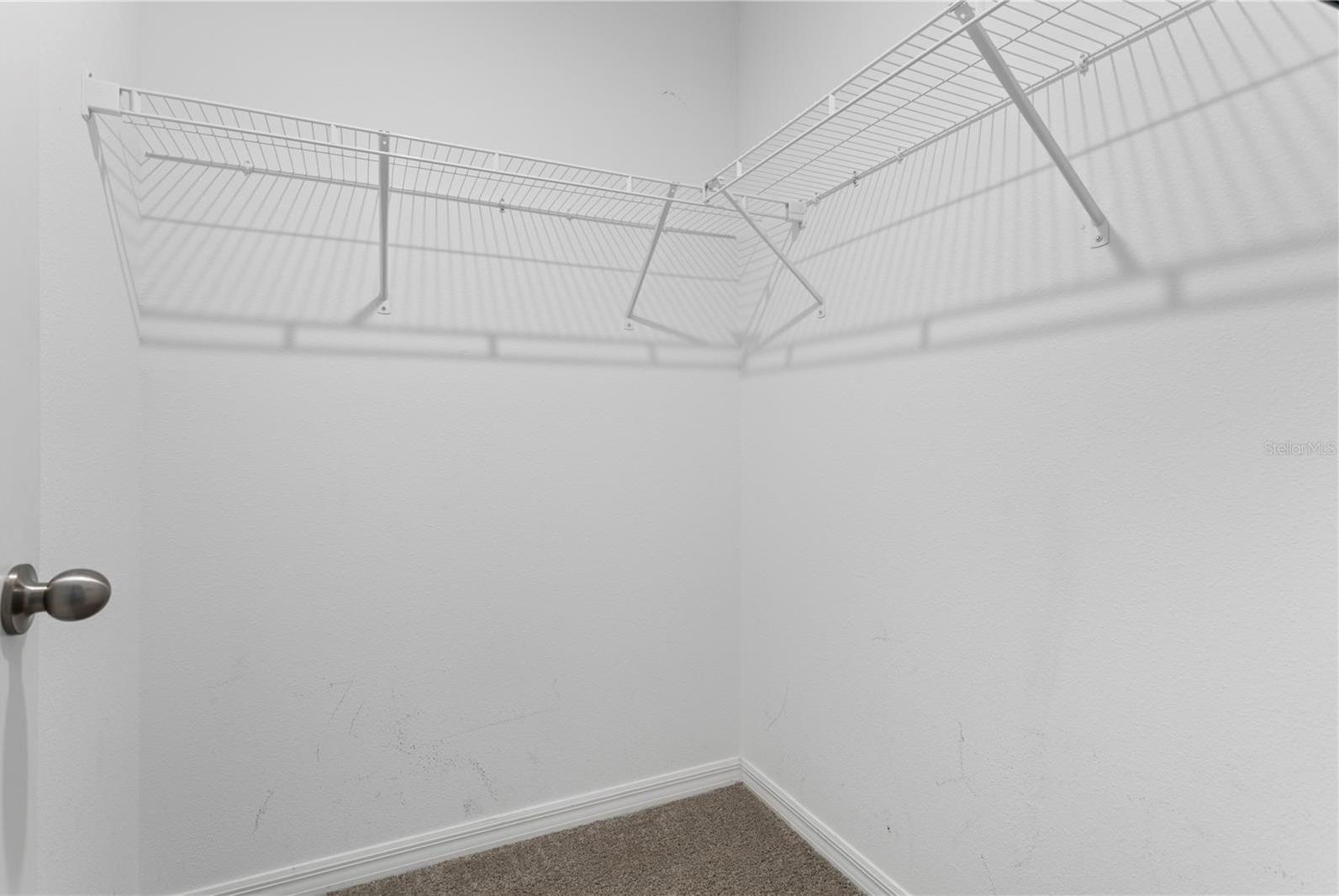 Photo #31
