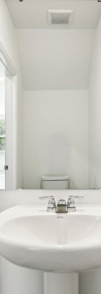 Photo #15
