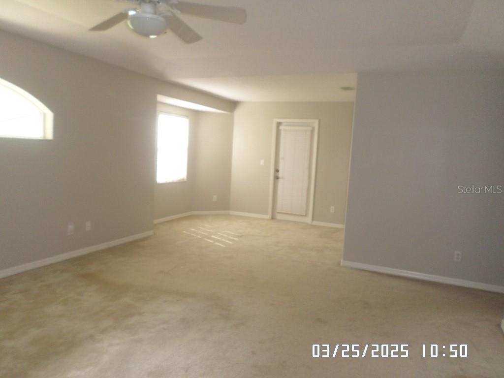Photo #8