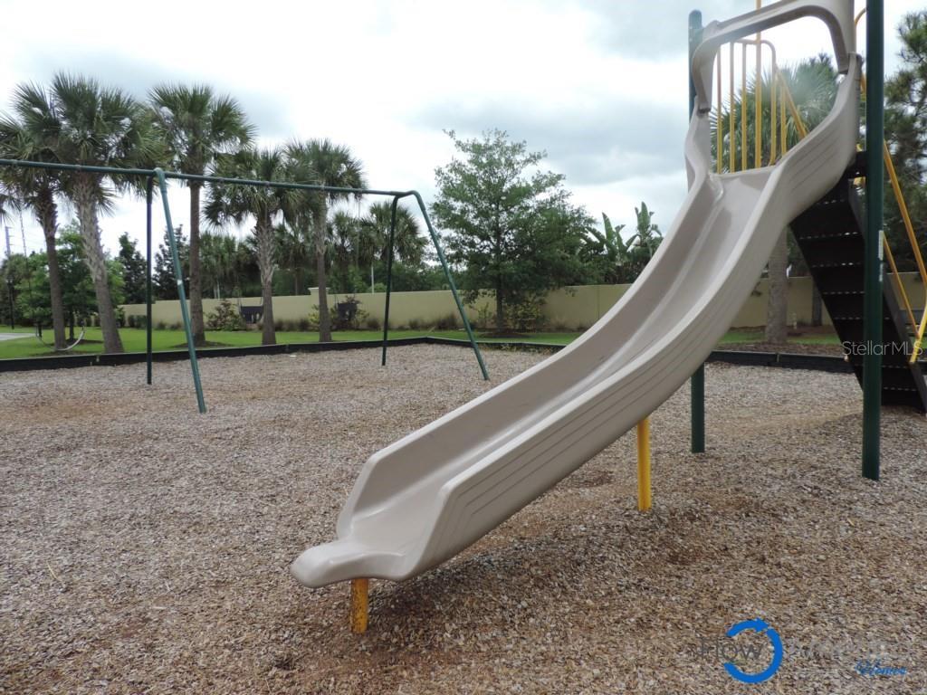 Photo #38