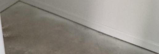 Photo #10