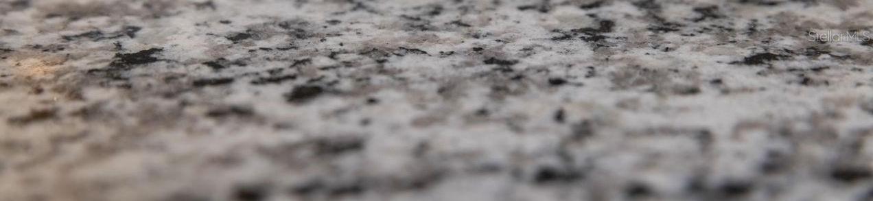 Photo #13