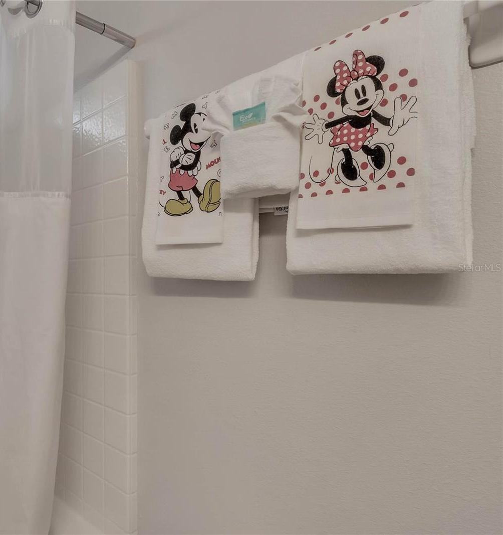 Photo #12