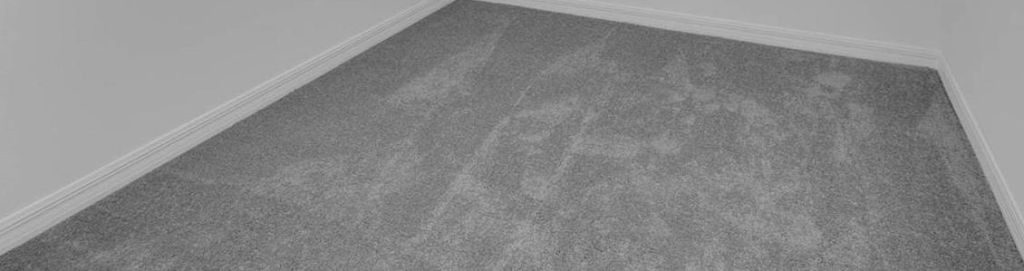 Photo #24