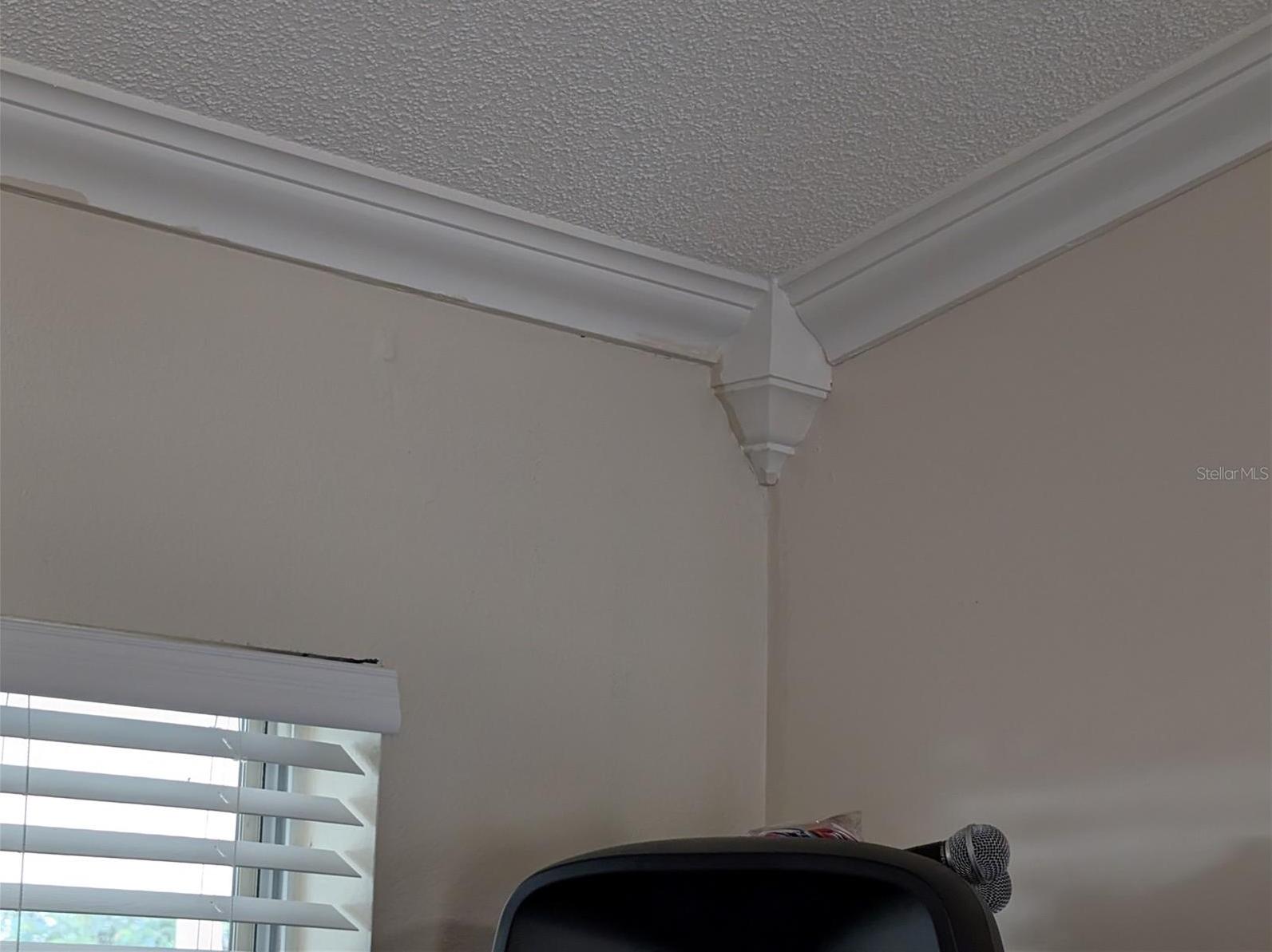 Photo #36