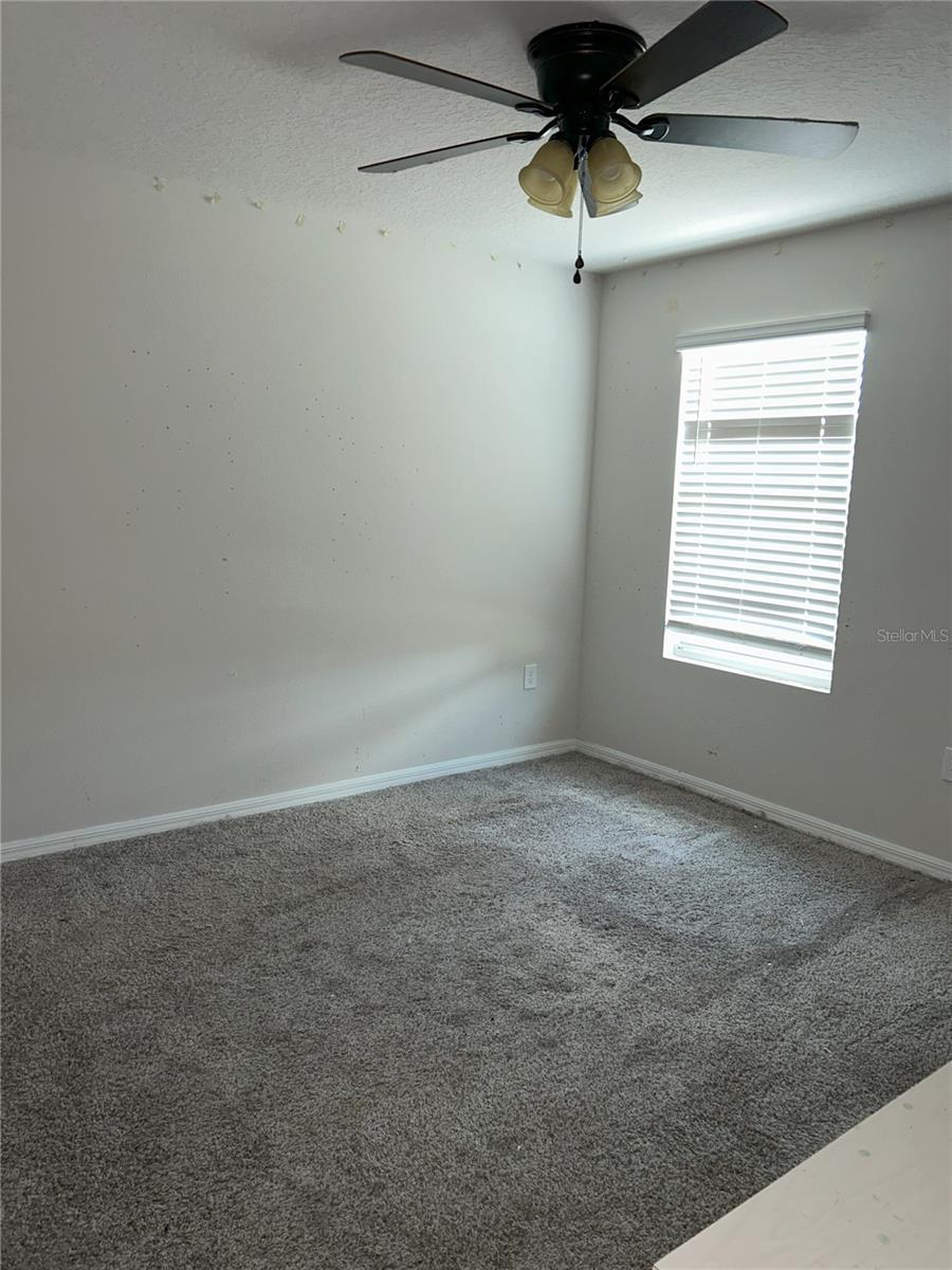 Photo #13