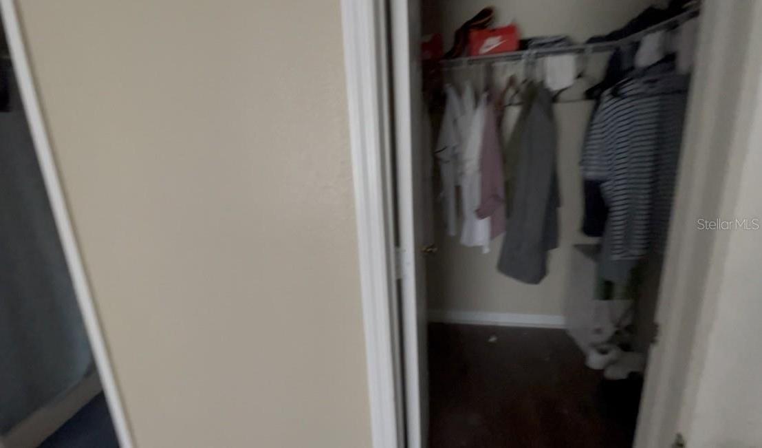Photo #9