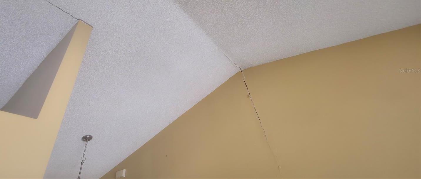 Photo #6