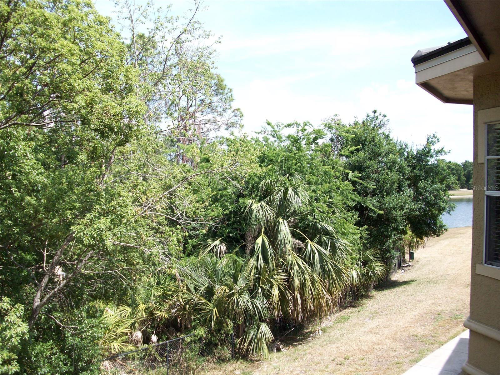 Photo #37