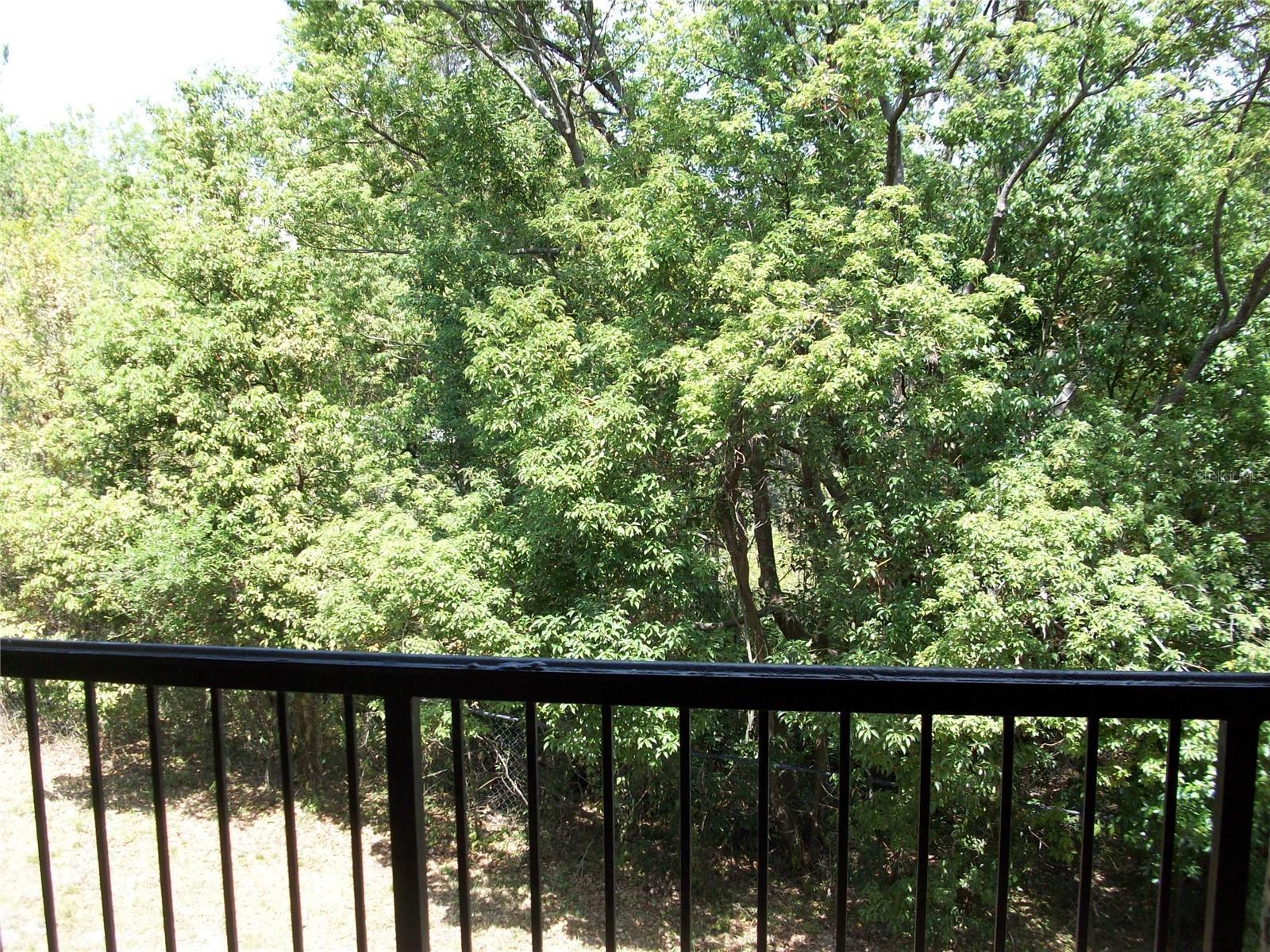 Photo #15