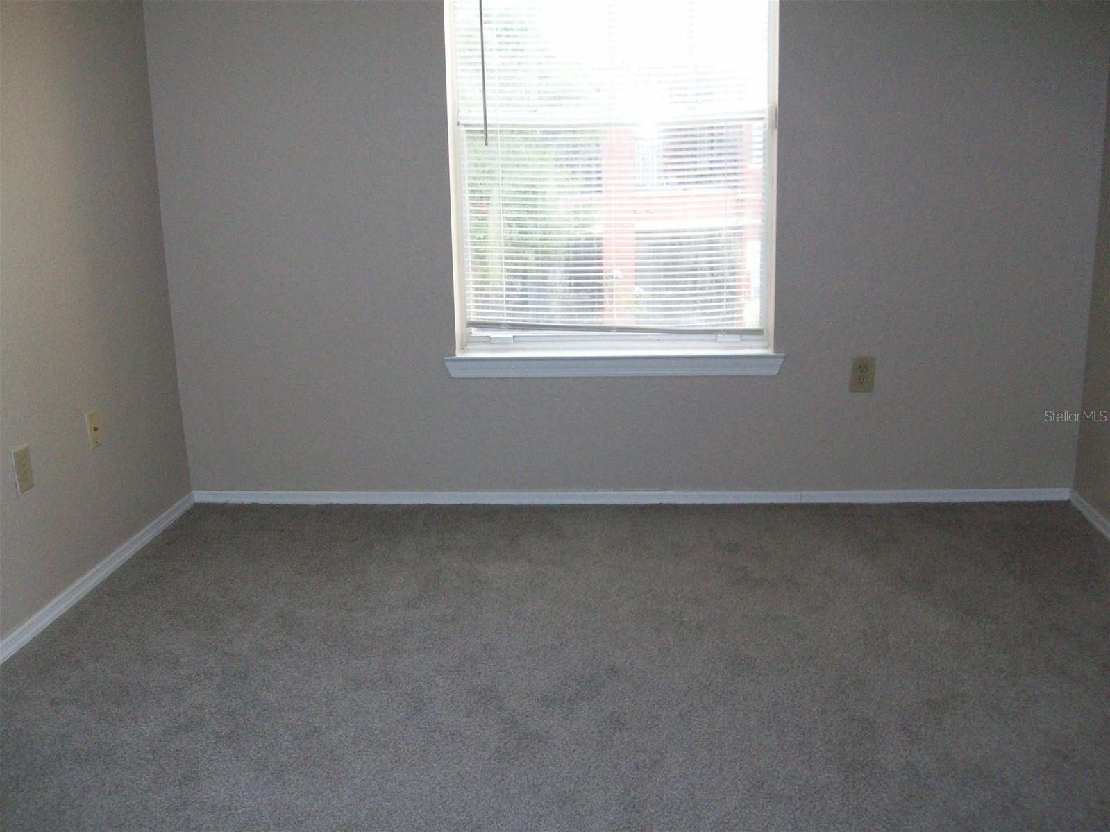 Photo #23