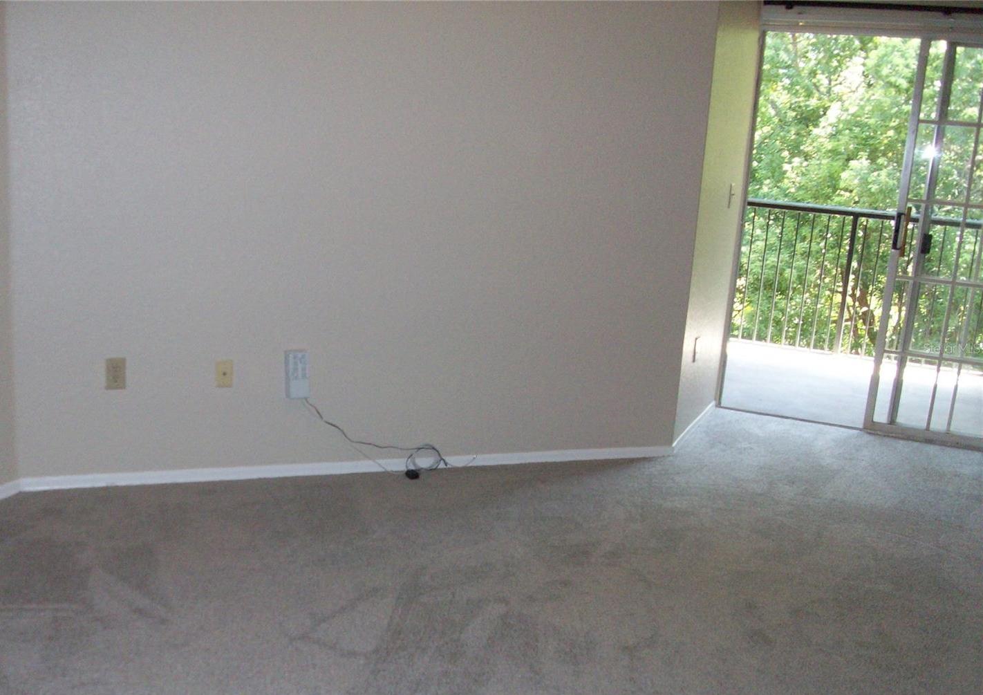 Photo #14