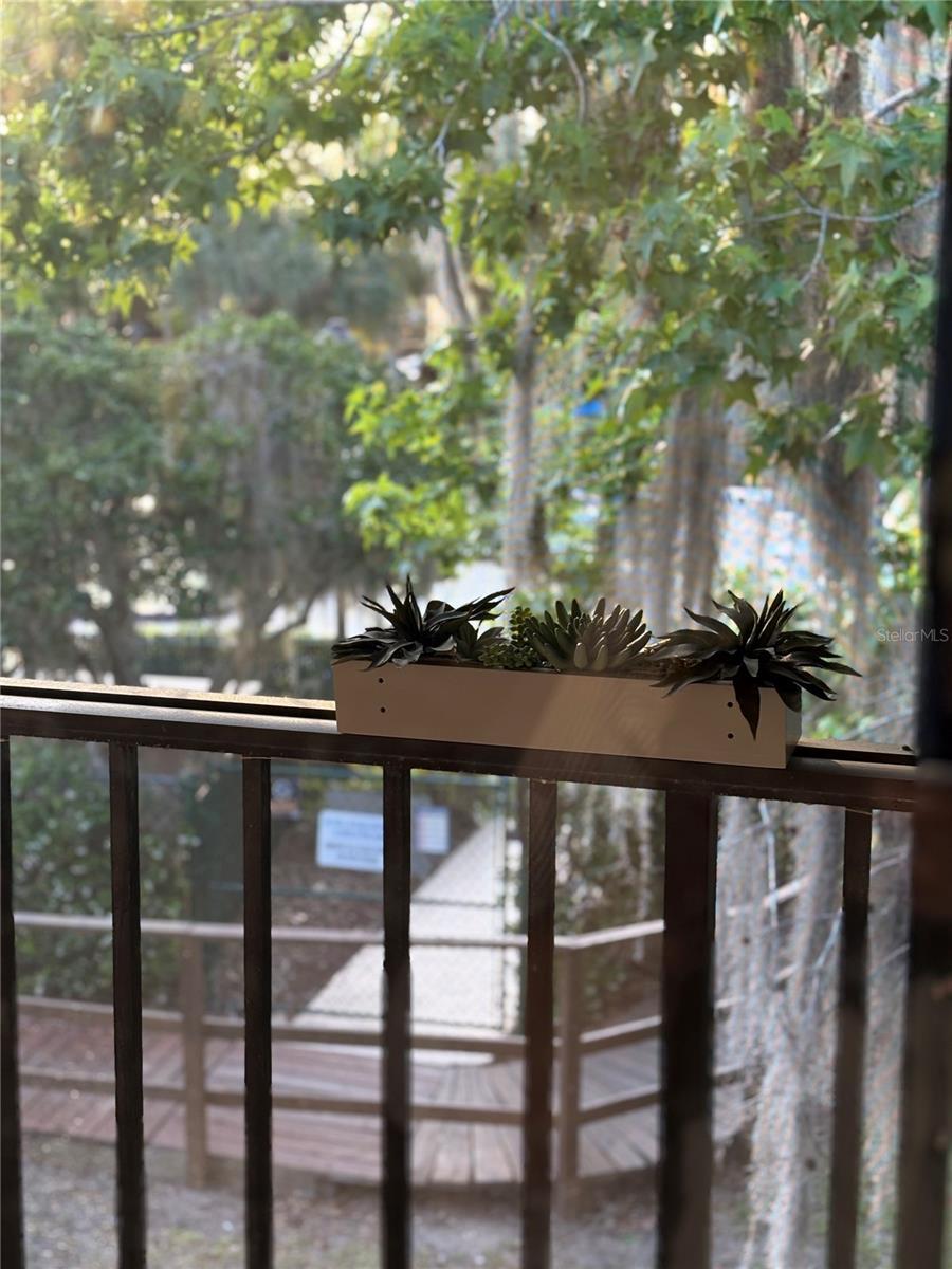Photo #10