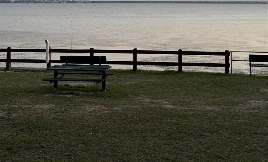 Photo #12