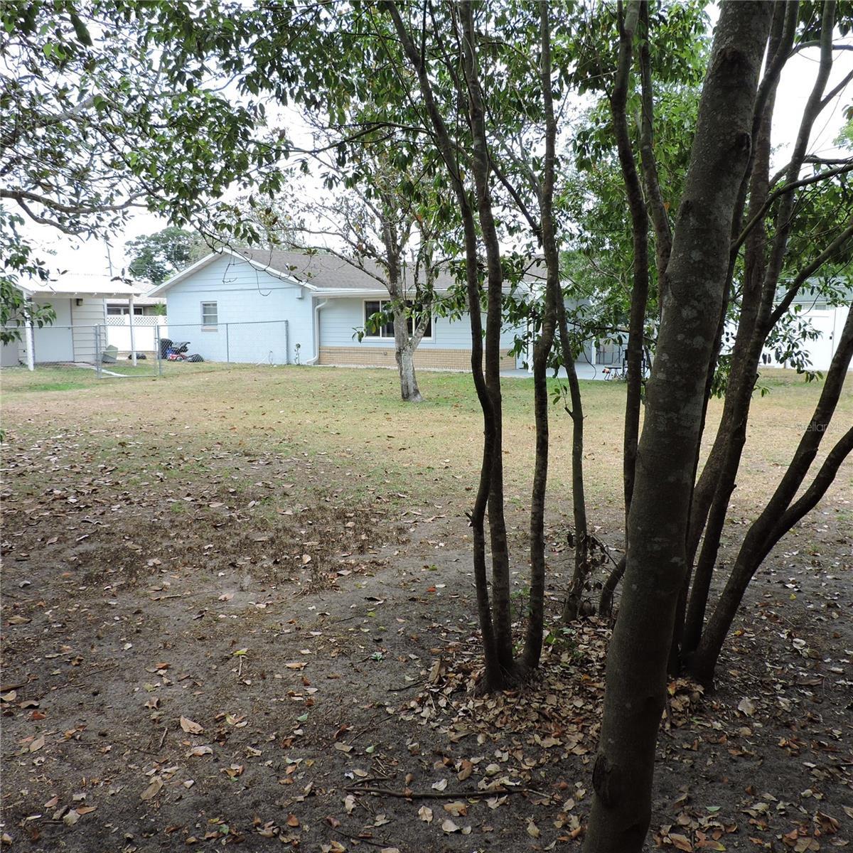 Photo #66