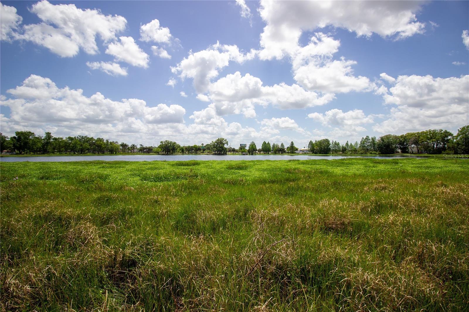 Photo #41