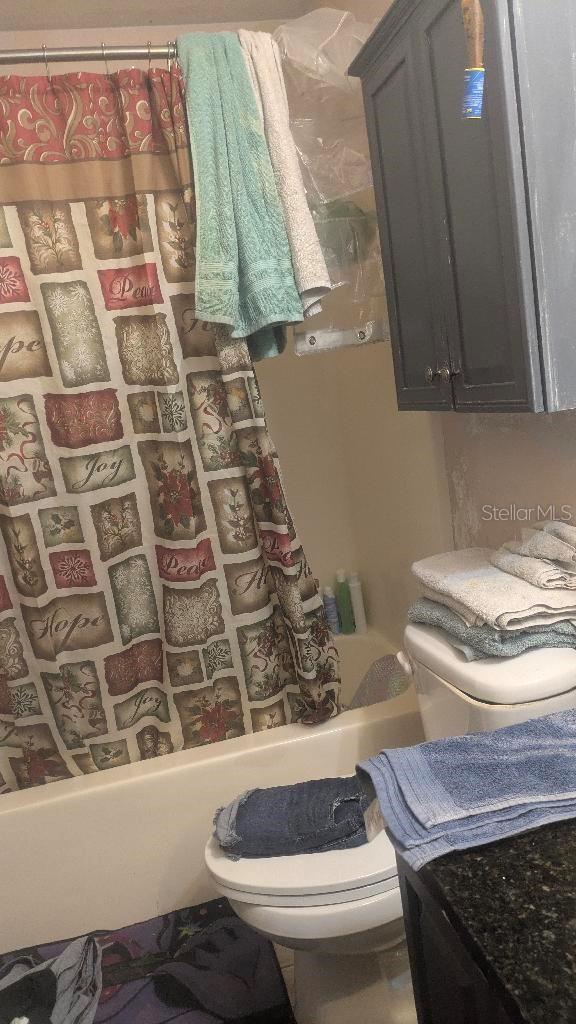 Photo #12