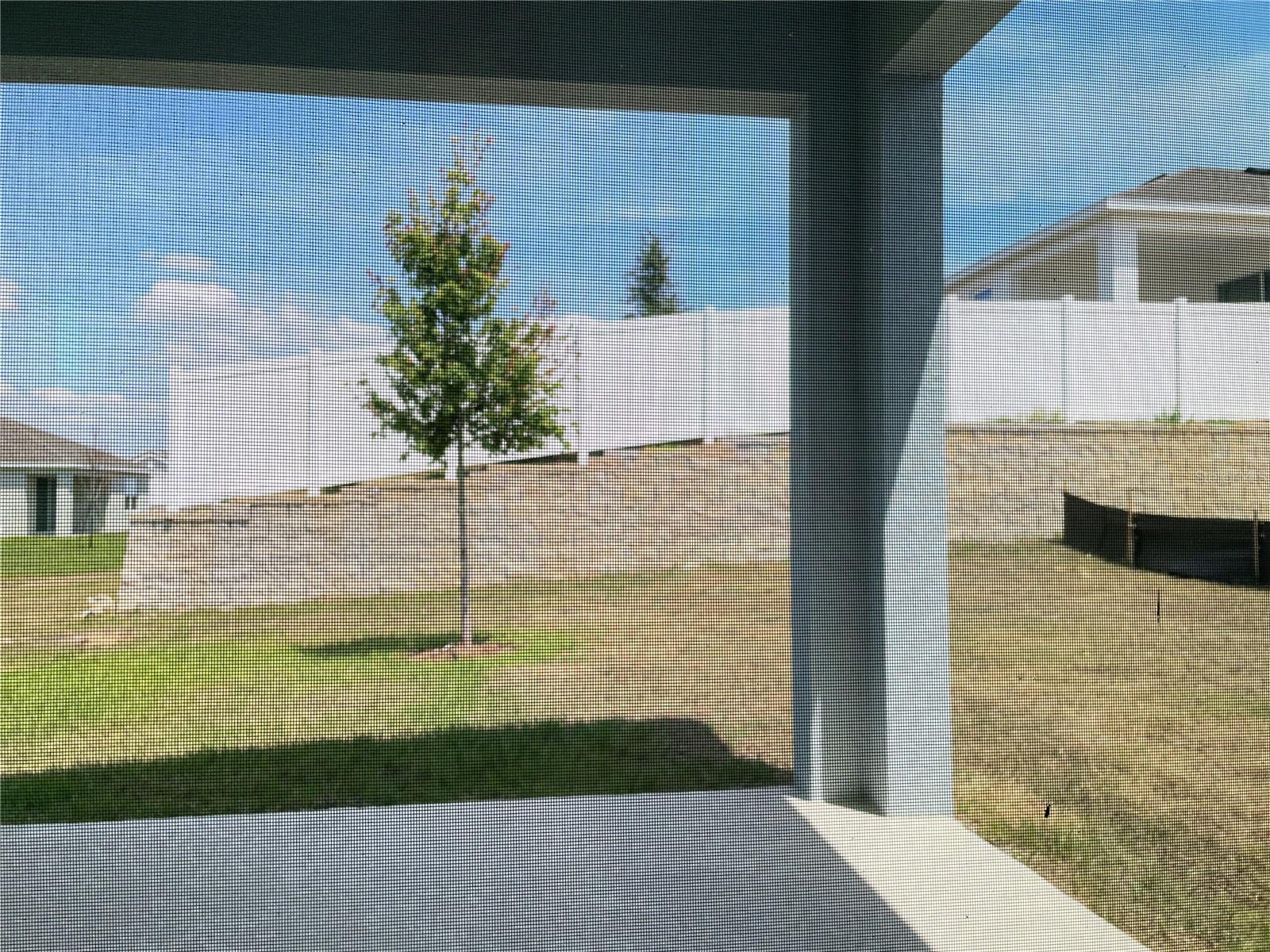 Photo #14