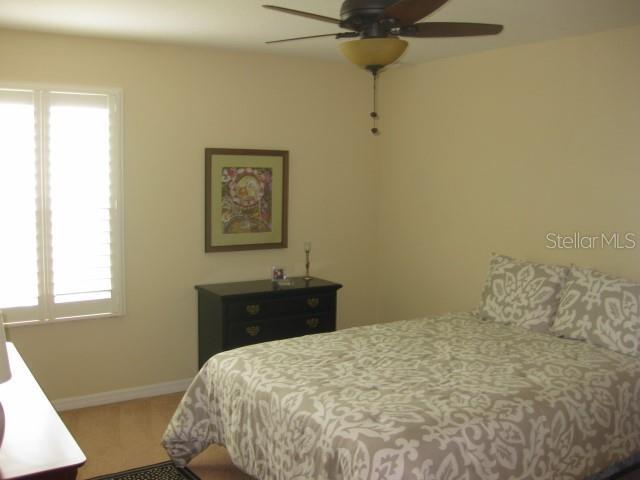 Photo #14