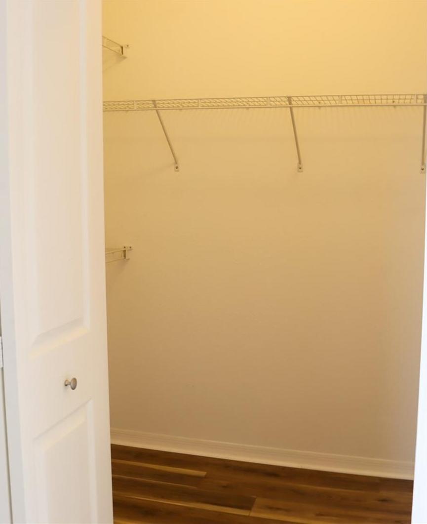 Photo #17