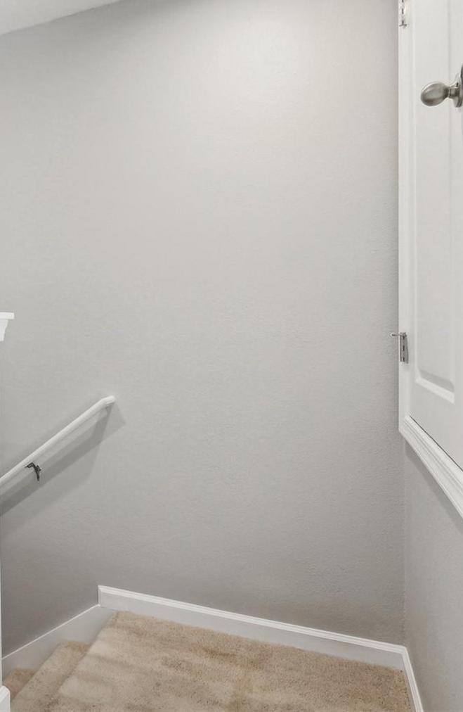 Photo #18