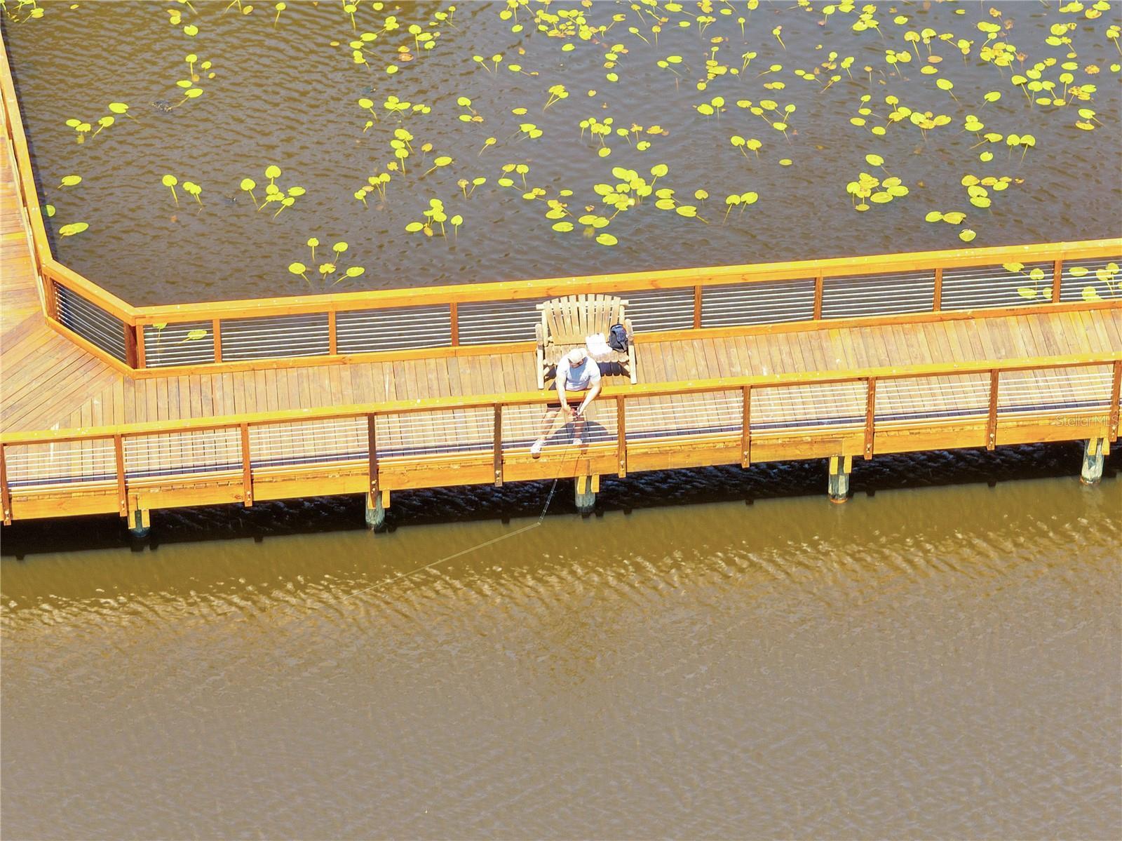 Photo #70