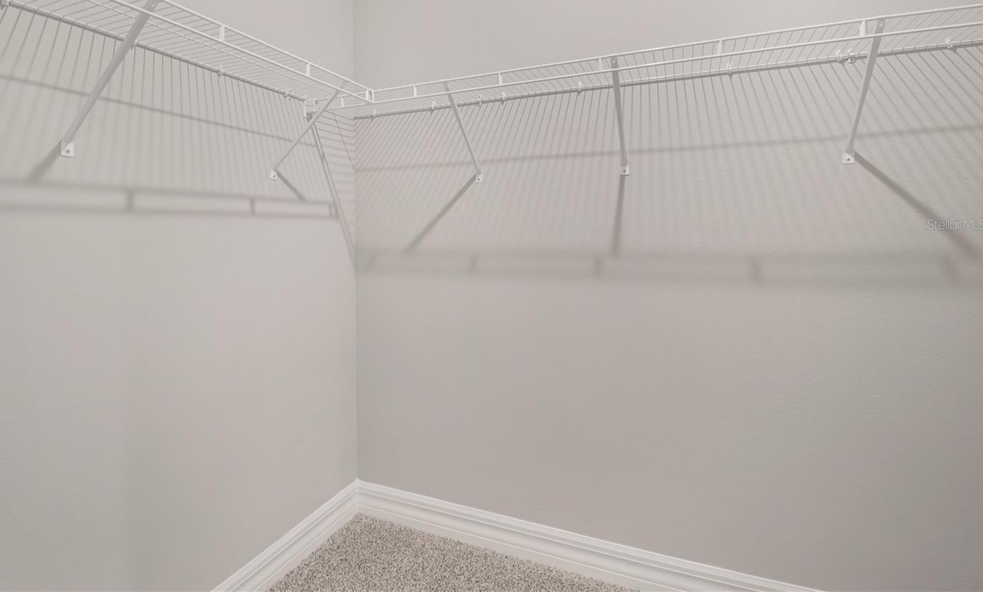Photo #24